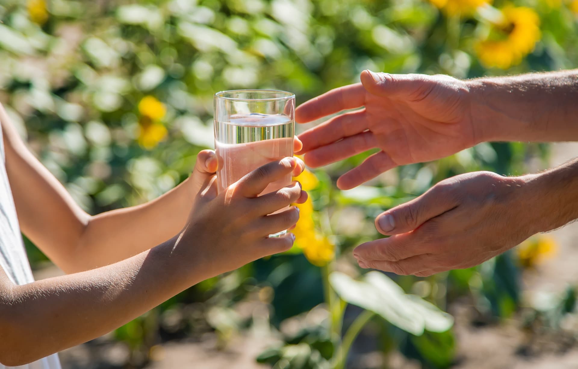 Sharing clean water